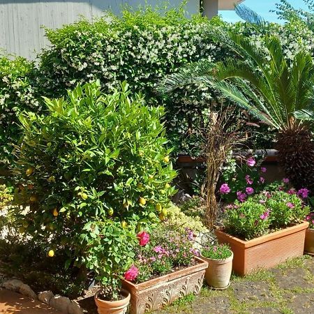 B&B Villa Noemi Formia Zewnętrze zdjęcie