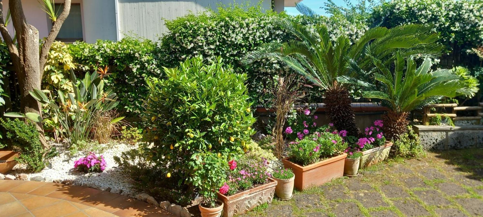 B&B Villa Noemi Formia Zewnętrze zdjęcie